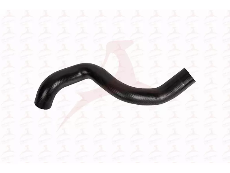 RADIATOR HOSE ( UPPER )