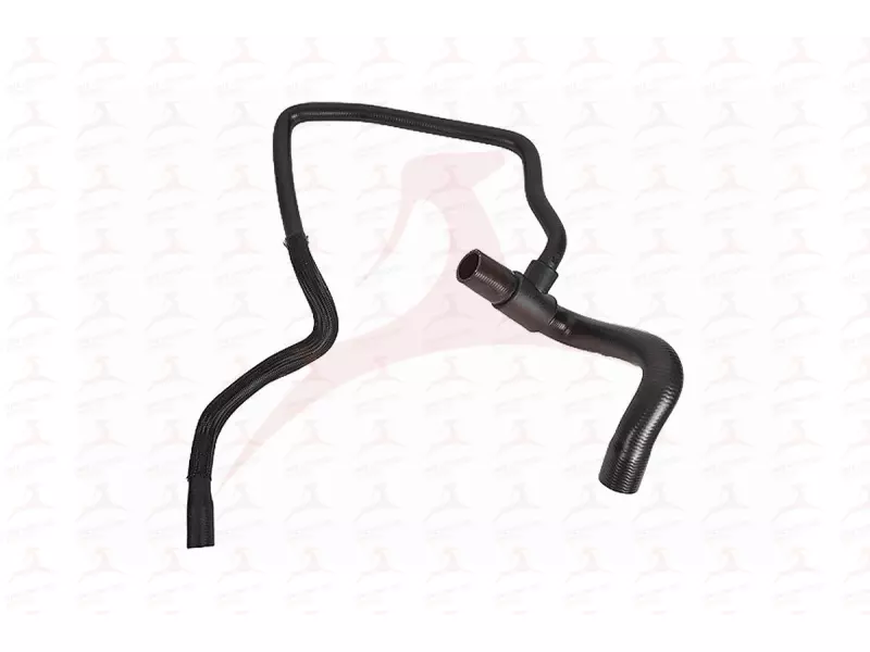 RADIATOR HOSE ( LOWER )