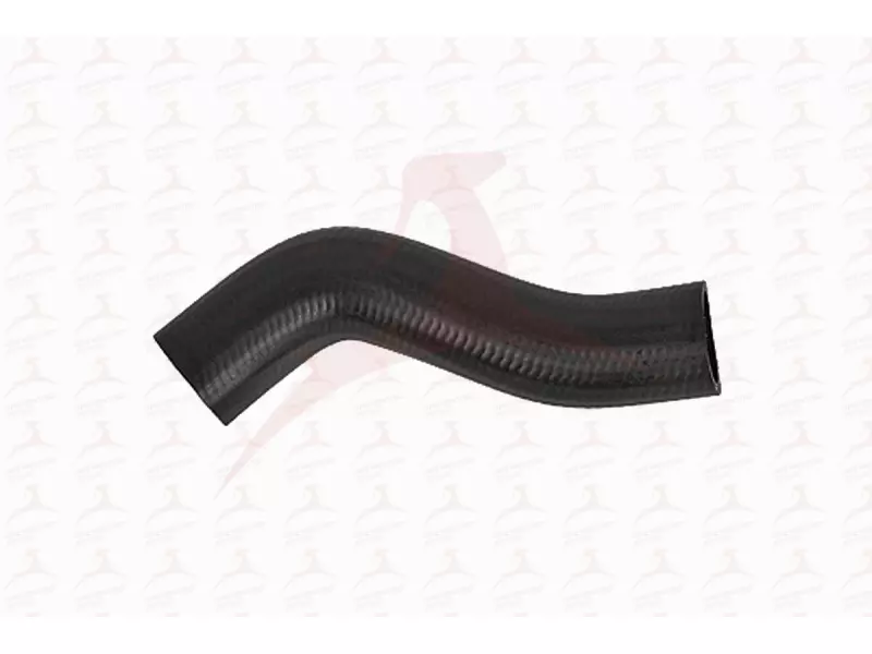 RADIATOR HOSE ( UPPER )
