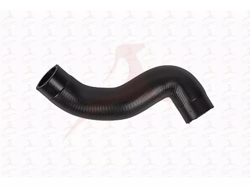 RADIATOR HOSE ( UPPER )