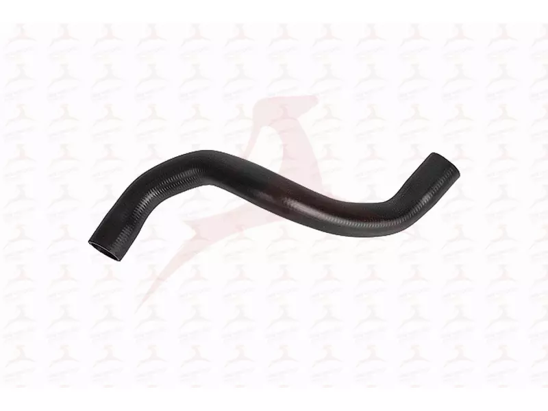 RADIATOR HOSE ( UPPER )