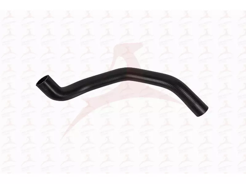 RADIATOR HOSE ( UPPER )