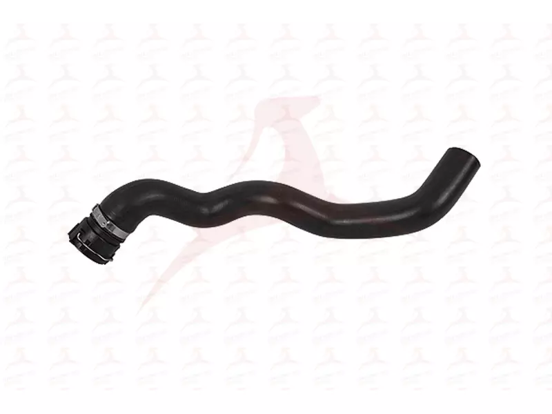 RADIATOR HOSE ( UPPER )