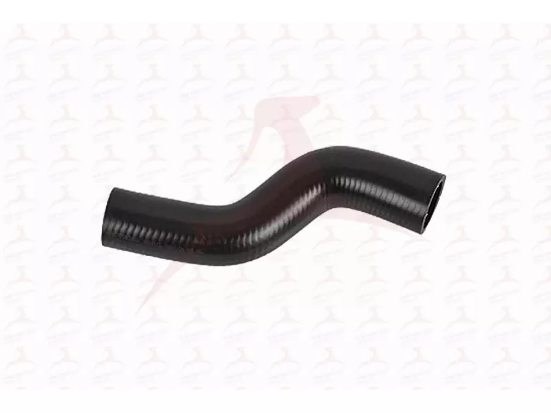 RADIATOR HOSE ( UPPER )