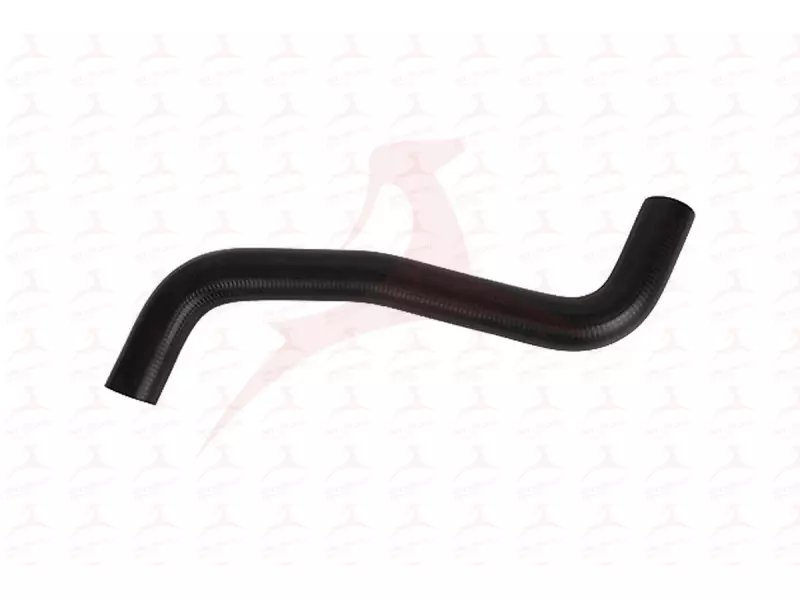 RADIATOR HOSE ( LOWER )