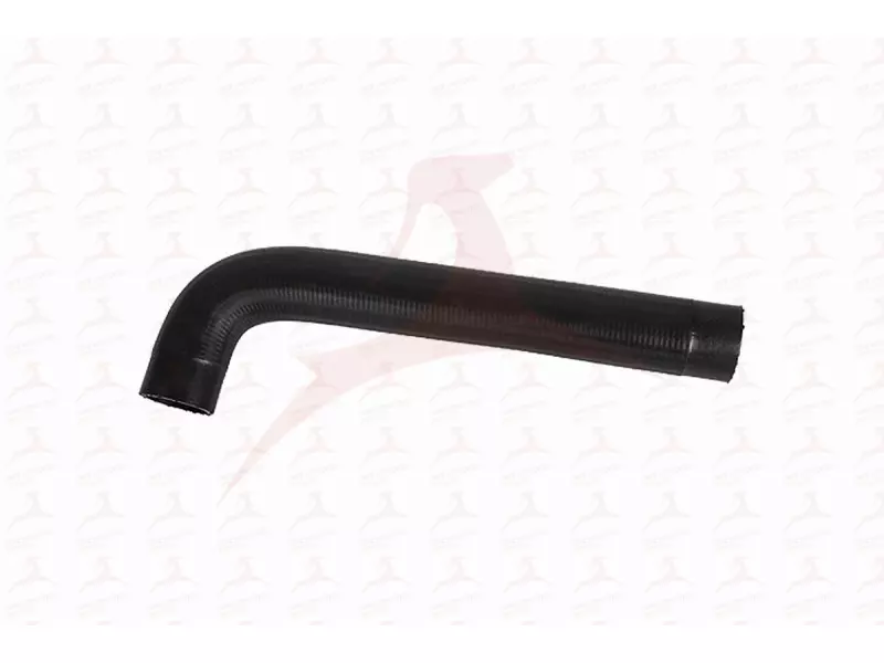 RADIATOR HOSE ( UPPER )