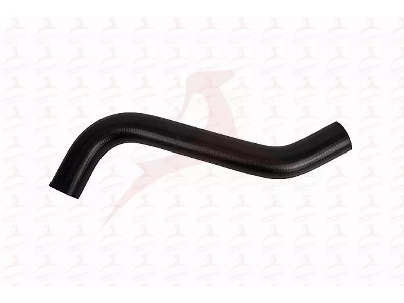 RADIATOR HOSE ( UPPER )