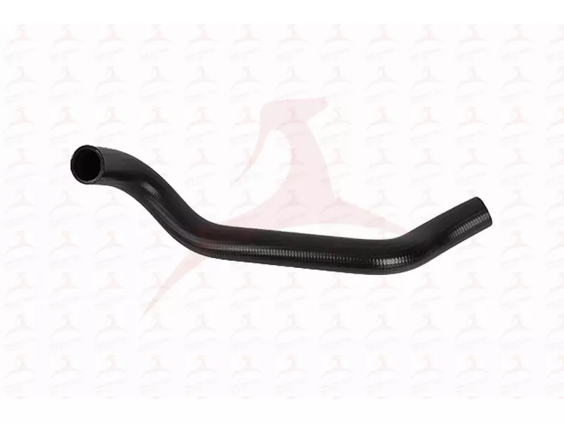 RADIATOR HOSE ( LOWER )