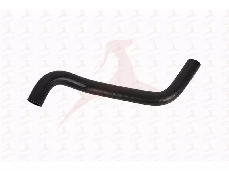 RADIATOR HOSE ( LOWER )