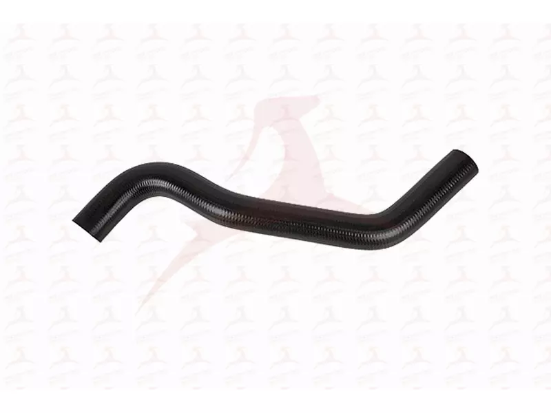 RADIATOR HOSE ( LOWER )