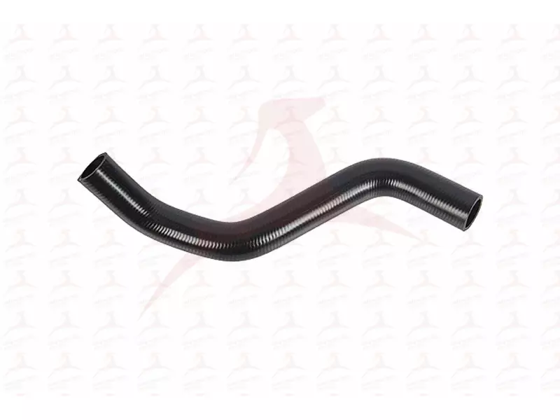 RADIATOR HOSE ( LOWER )