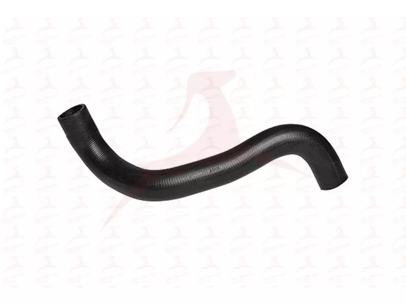 RADIATOR HOSE ( LOWER )