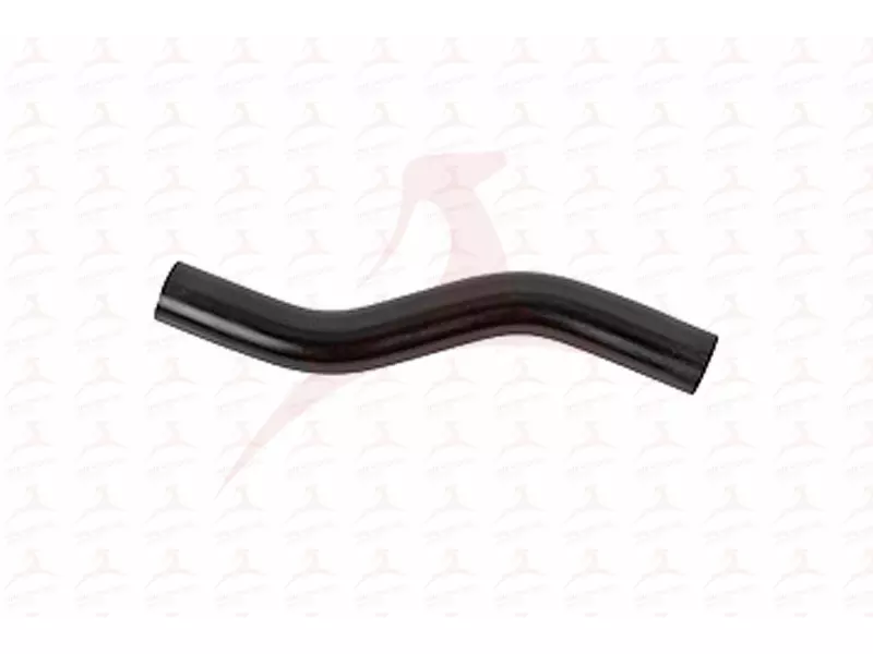 FUEL HOSE