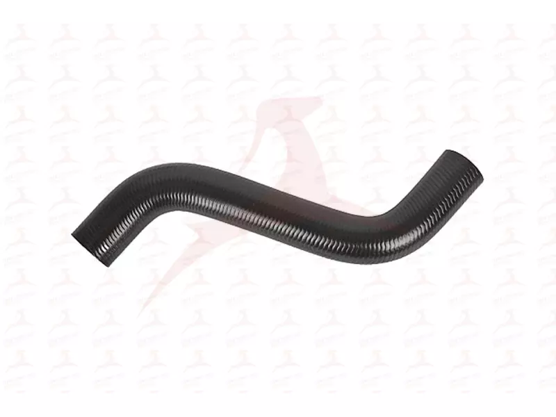 RADIATOR HOSE ( UPPER )