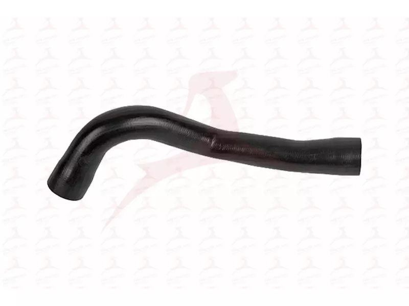 CHARGE AIR HOSE ( RH FRONT )
