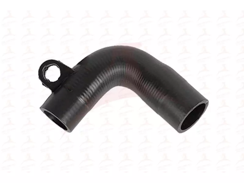 RADIATOR HOSE ( FRONT )