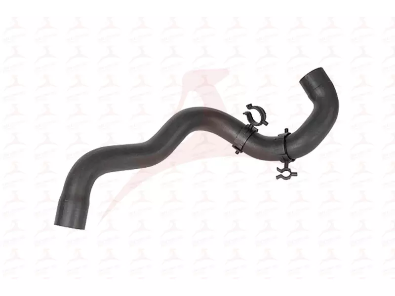 RADIATOR HOSE ( UPPER )