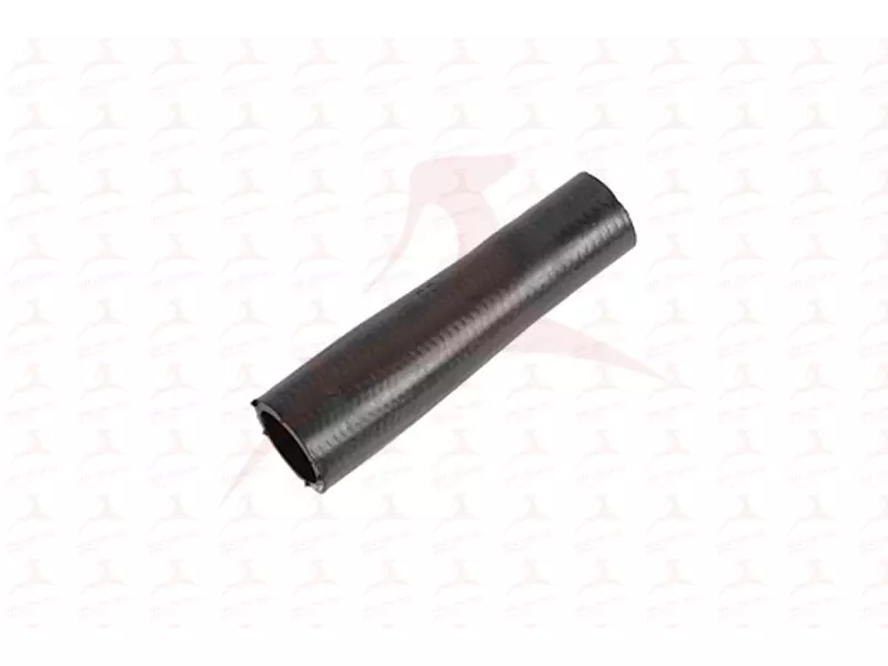 RADIATOR HOSE ( FRONT RH / LH )