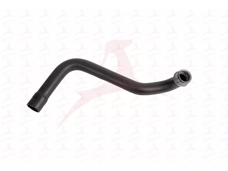 RADIATOR HOSE ( LOWER )