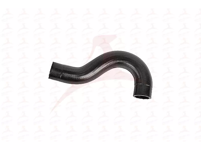 RADIATOR HOSE ( UPPER )