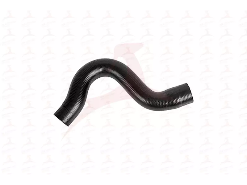 RADIATOR HOSE ( UPPER )