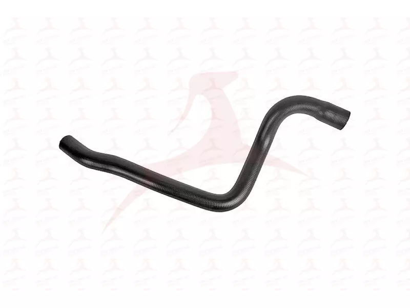 RADIATOR HOSE ( LOWER )