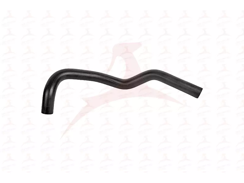 RADIATOR HOSE ( LOWER )