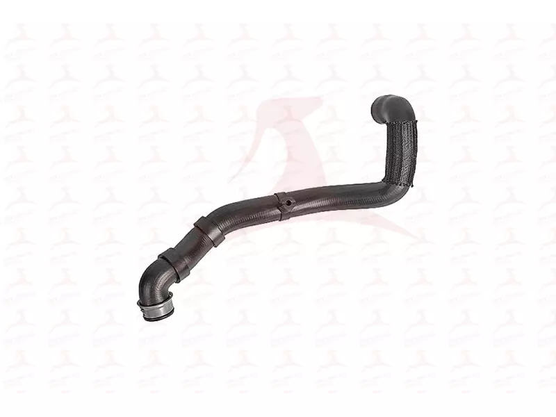 RADIATOR HOSE ( LOWER )
