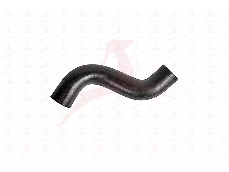 RADIATOR HOSE ( UPPER )