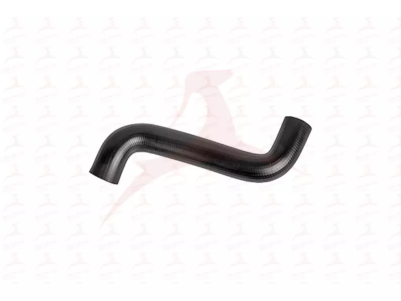 RADIATOR HOSE ( UPPER )