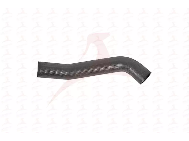 RADIATOR HOSE ( LOWER )