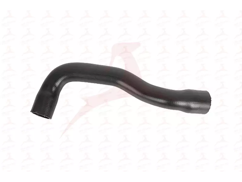 RADIATOR HOSE ( LOWER )