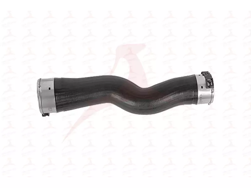 CHARGE AIR HOSE ( RH )