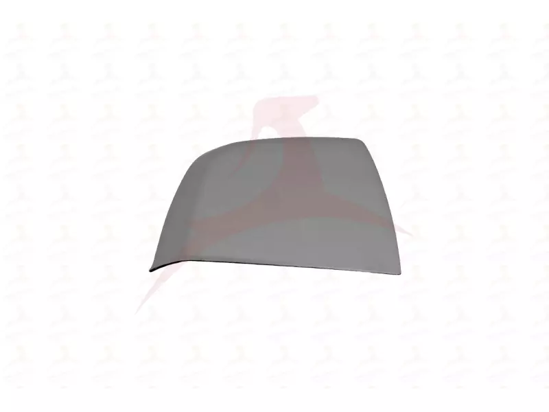 EXTERIOR MIRROR  ( RH )