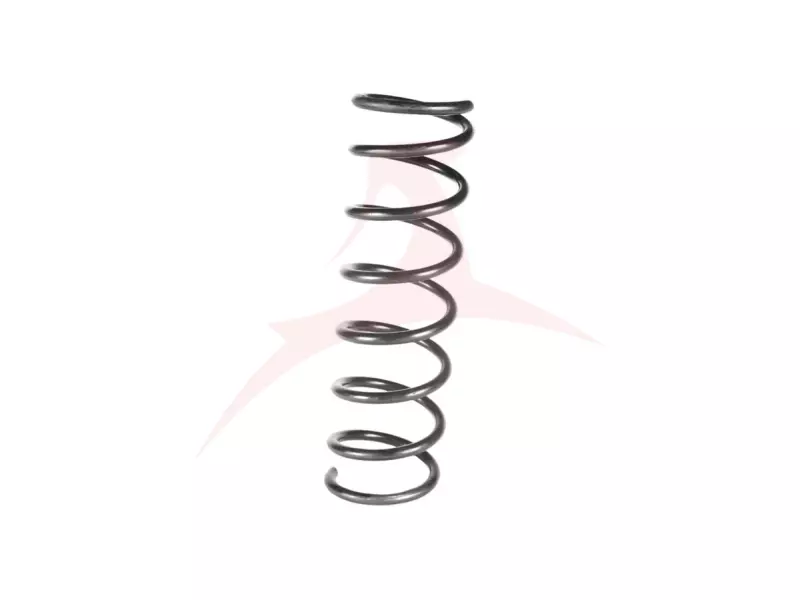 REAR COIL SPRING RH / LH