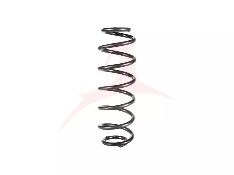 REAR COIL SPRING RH / LH