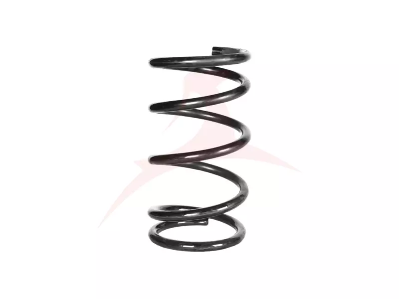 REAR COIL SPRING RH / LH