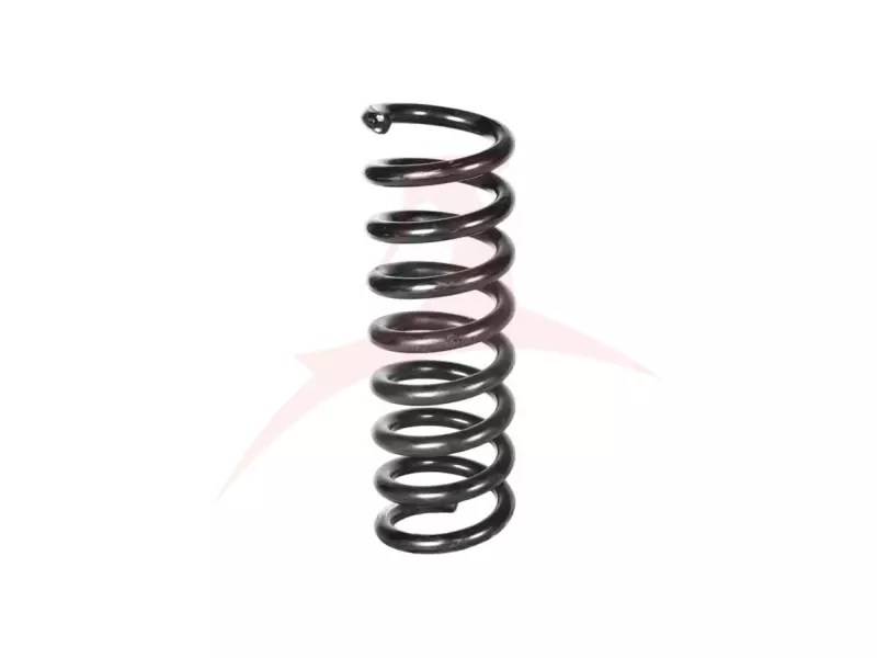 REAR COIL SPRING RH / LH