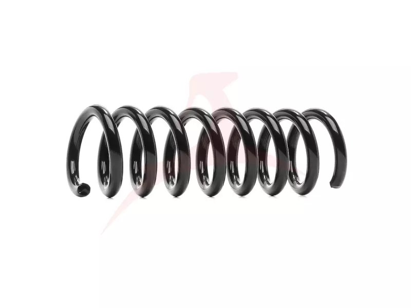 REAR COIL SPRING RH / LH