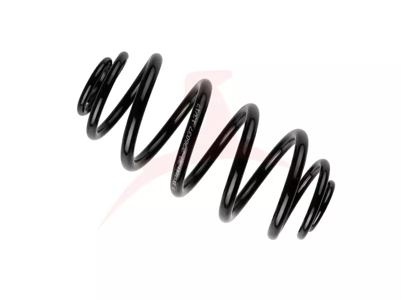 REAR COIL SPRING RH / LH