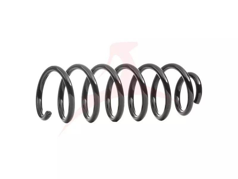 REAR COIL SPRING RH / LH