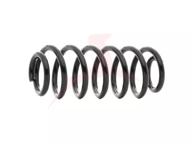 REAR COIL SPRING RH / LH