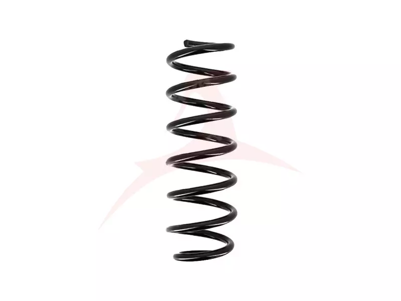 REAR COIL SPRING RH / LH