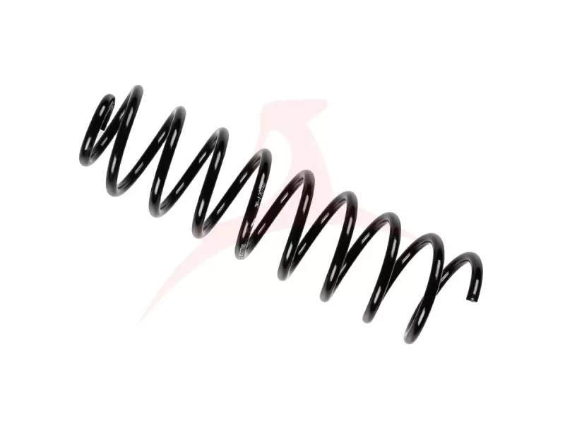 REAR COIL SPRING RH / LH