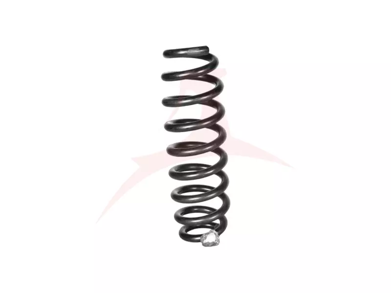 REAR COIL SPRING RH / LH