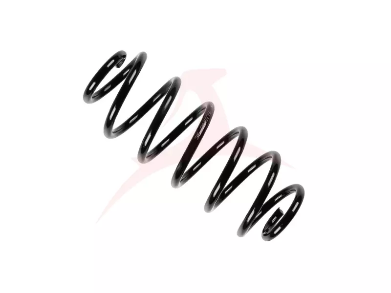 REAR COIL SPRING RH / LH