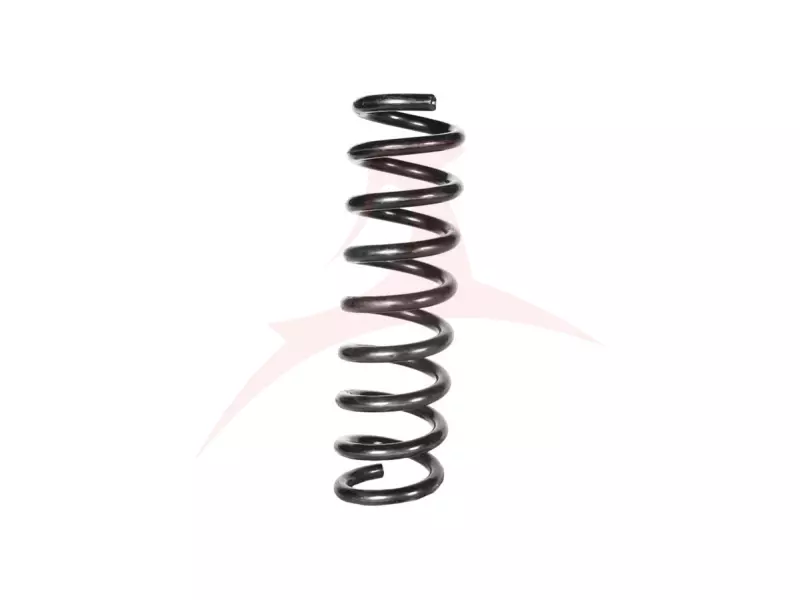 REAR COIL SPRING RH / LH