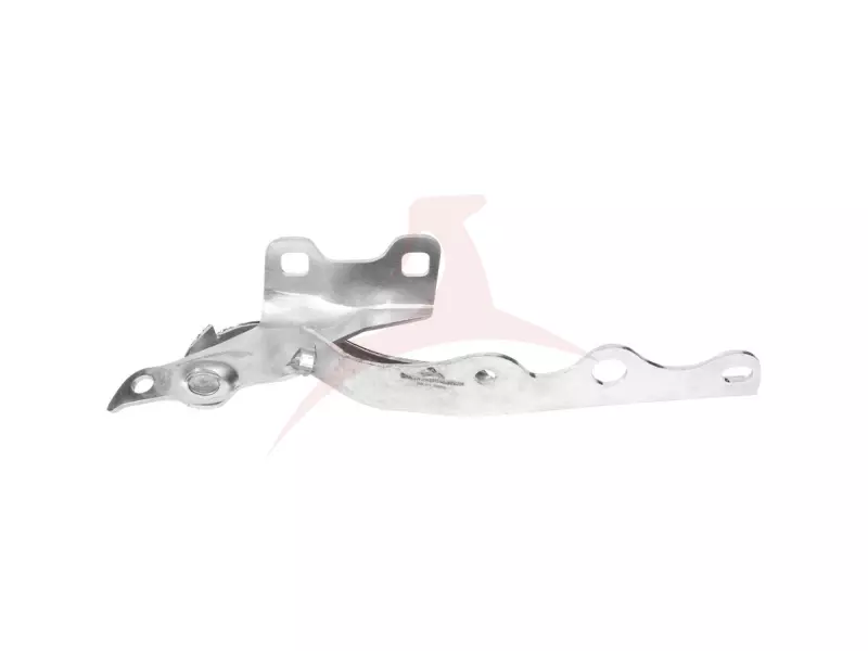 HINGE, BONNET RIGHT