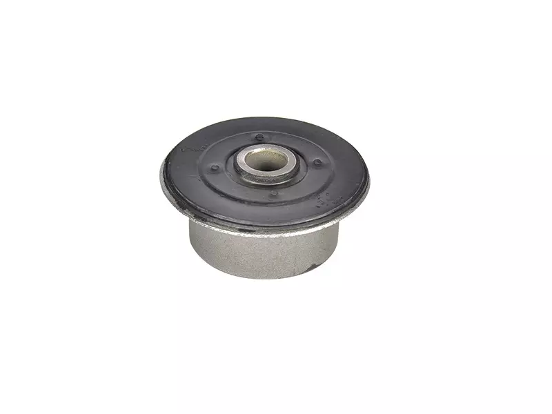 Rear Spring Bushing