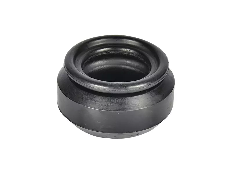 Shock Absorber Mounting